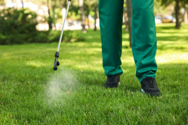 Best Pest Control Near Me in Elbow Lake, MN