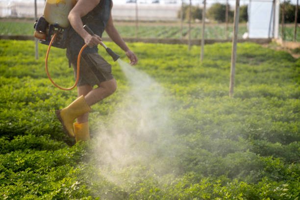 Best Residential Pest Control  in Elbow Lake, MN