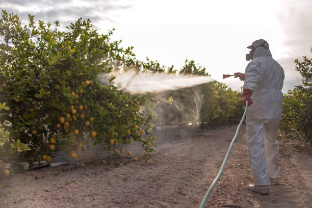 Elbow Lake, MN Pest Control Company