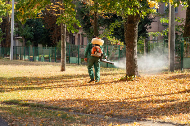 Best Best Pest Control Companies  in Elbow Lake, MN
