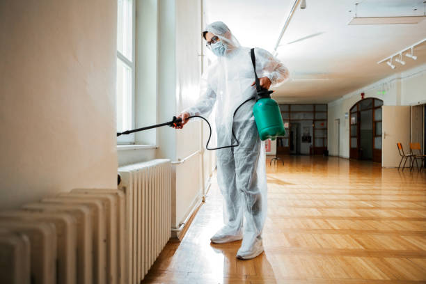 Best Flea Control Services  in Elbow Lake, MN
