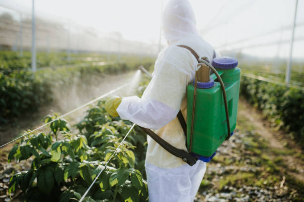 Best Emergency Pest Control  in Elbow Lake, MN